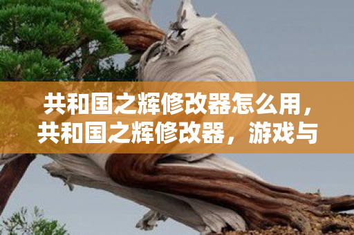 共和国之辉修改器怎么用，共和国之辉修改器，游戏与规则的边界