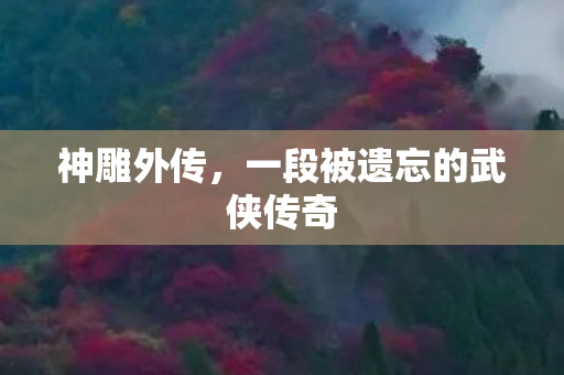 神雕外传，一段被遗忘的武侠传奇