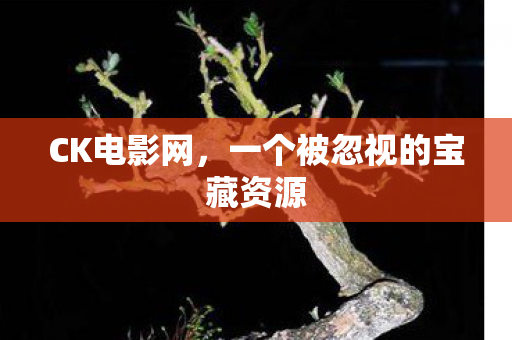 CK电影网，一个被忽视的宝藏资源