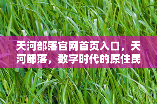 天河部落官网首页入口，天河部落，数字时代的原住民文化探索
