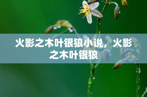 火影之木叶银狼小说，火影之木叶银狼