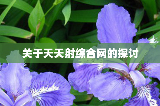 关于天天射综合网的探讨 关于天天射综合网的探讨