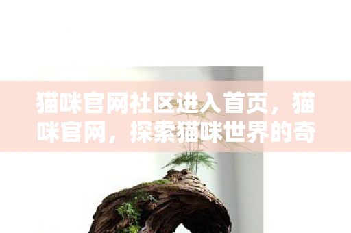 猫咪官网社区进入首页，猫咪官网，探索猫咪世界的奇妙之旅