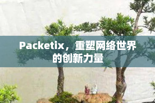 Packetix，重塑网络世界的创新力量