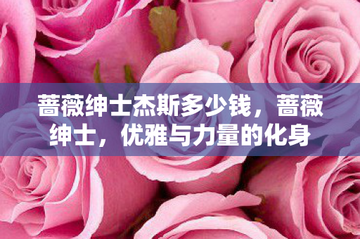 蔷薇绅士杰斯多少钱，蔷薇绅士，优雅与力量的化身