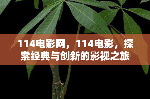114电影网，114电影，探索经典与创新的影视之旅