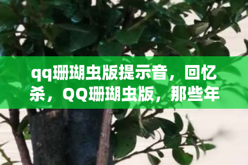 qq珊瑚虫版提示音，回忆杀，QQ珊瑚虫版，那些年我们一起用过的QQ皮肤