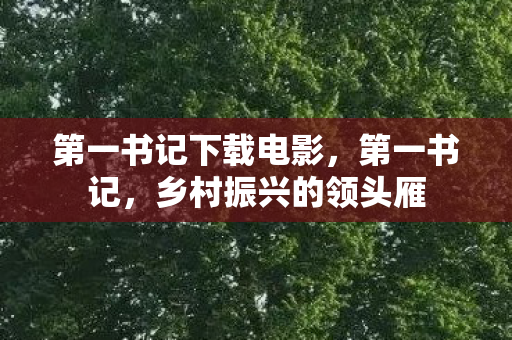 第一书记下载电影，第一书记，乡村振兴的领头雁