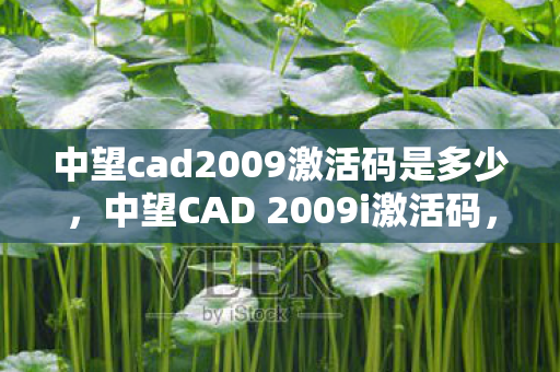 中望cad2009激活码是多少，中望CAD 2009i激活码，合法使用与激活方法详解
