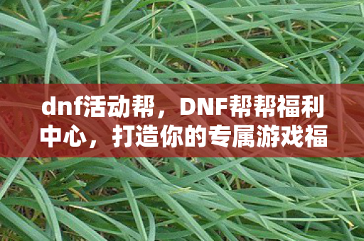 dnf活动帮，DNF帮帮福利中心，打造你的专属游戏福利站