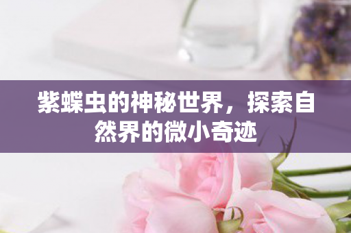 紫蝶虫的神秘世界,探索自然界的微小奇迹 紫蝶虫的神秘世界,探索自然界的微小奇迹