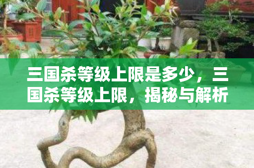 三国杀等级上限是多少，三国杀等级上限，揭秘与解析