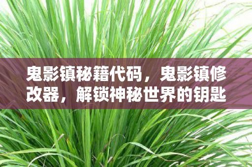鬼影镇秘籍代码，鬼影镇修改器，解锁神秘世界的钥匙