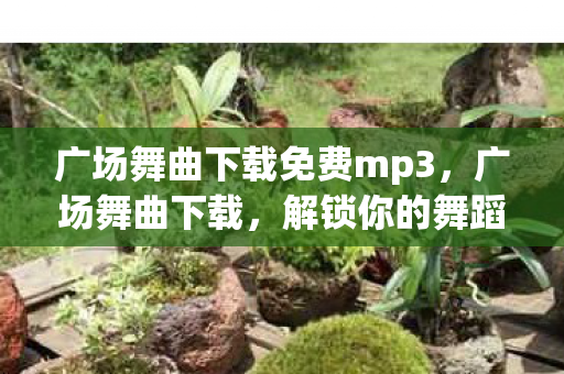 广场舞曲下载免费mp3，广场舞曲下载，解锁你的舞蹈激情