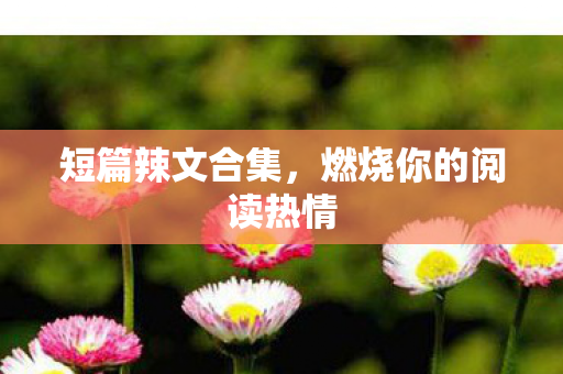 短篇辣文合集，燃烧你的阅读热情