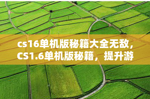 cs16单机版秘籍大全无敌，CS1.6单机版秘籍，提升游戏技巧与攻略