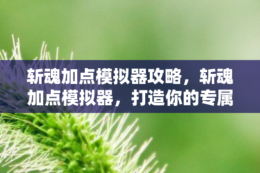 斩魂加点模拟器攻略，斩魂加点模拟器，打造你的专属角色