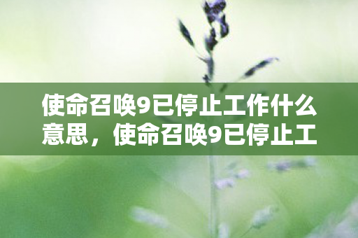 使命召唤9已停止工作什么意思,使命召唤9已停止工作,解决游戏崩溃的实用指南 使命召唤9已停止工作什么意思,使命召唤9已停止工作,解决游戏崩溃的实用指南