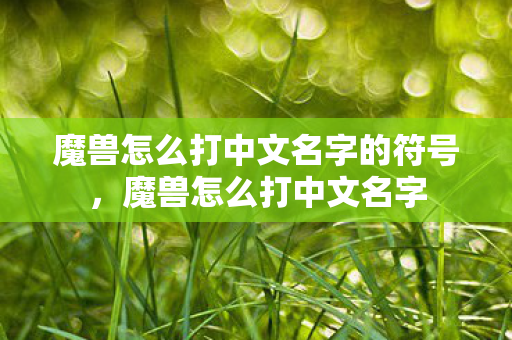 魔兽怎么打中文名字的符号，魔兽怎么打中文名字