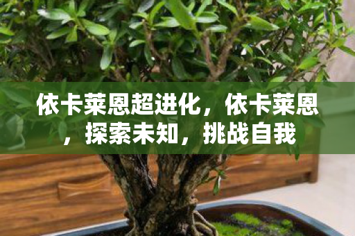 依卡莱恩超进化，依卡莱恩，探索未知，挑战自我