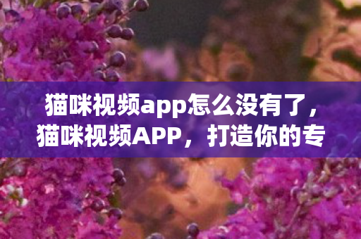 猫咪视频app怎么没有了，猫咪视频APP，打造你的专属萌宠乐园