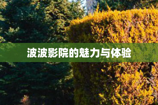 波波影院的魅力与体验