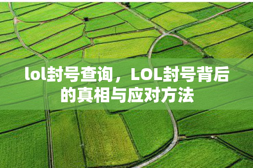 lol封号查询,LOL封号背后的真相与应对方法 lol封号查询,LOL封号背后的真相与应对方法