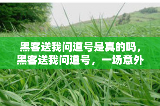 黑客送我问道号是真的吗,黑客送我问道号,一场意外的虚拟奇遇 黑客送我问道号是真的吗,黑客送我问道号,一场意外的虚拟奇遇