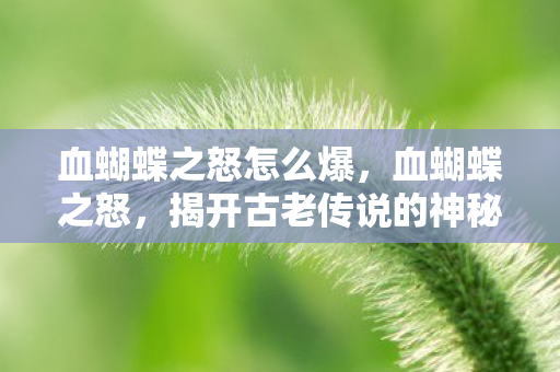 血蝴蝶之怒怎么爆,血蝴蝶之怒,揭开古老传说的神秘面纱 血蝴蝶之怒怎么爆,血蝴蝶之怒,揭开古老传说的神秘面纱