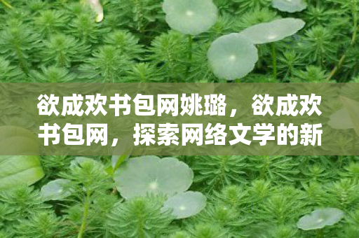 欲成欢书包网姚璐，欲成欢书包网，探索网络文学的新世界