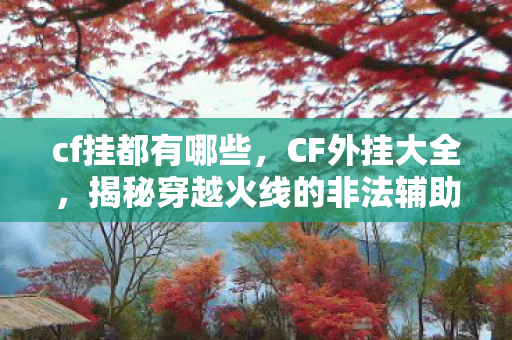 cf挂都有哪些，CF外挂大全，揭秘穿越火线的非法辅助工具