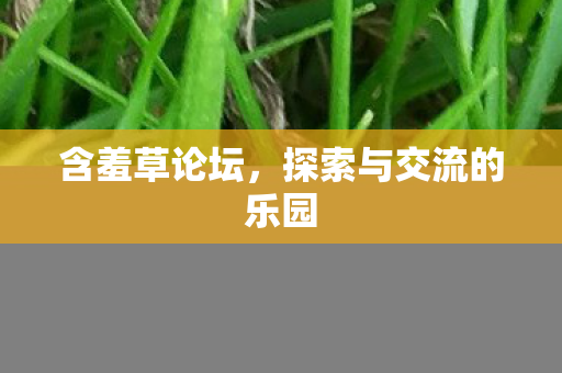 含羞草论坛，探索与交流的乐园