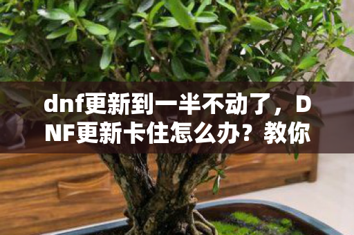 dnf更新到一半不动了，DNF更新卡住怎么办？教你几招解决更新问题