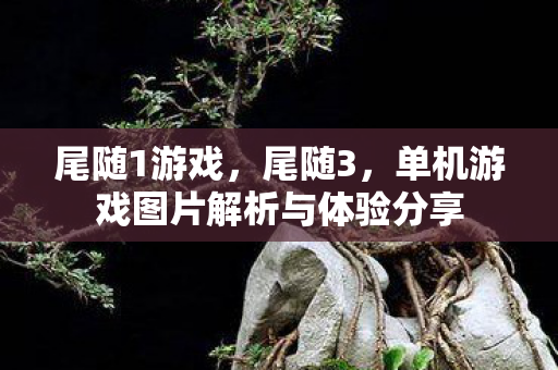 尾随1游戏，尾随3，单机游戏图片解析与体验分享