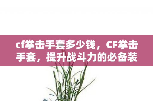 cf拳击手套多少钱，CF拳击手套，提升战斗力的必备装备
