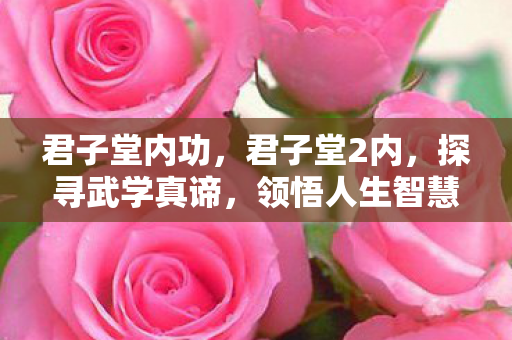 君子堂内功，君子堂2内，探寻武学真谛，领悟人生智慧
