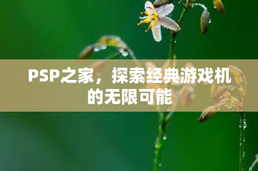 PSP之家，探索经典游戏机的无限可能