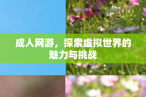 成人网游，探索虚拟世界的魅力与挑战