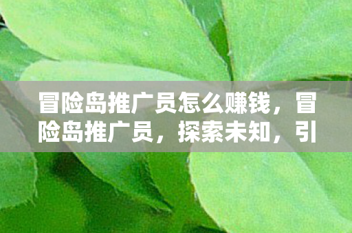 冒险岛推广员怎么赚钱，冒险岛推广员，探索未知，引领潮流