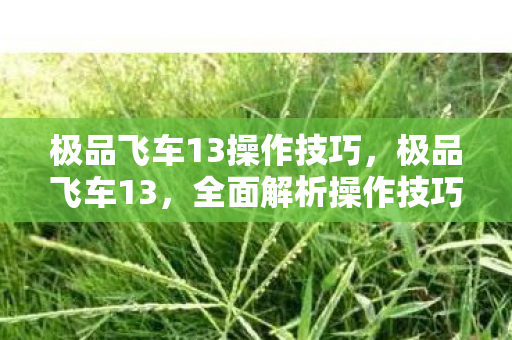 极品飞车13操作技巧，极品飞车13，全面解析操作技巧