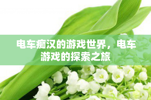 电车痴汉的游戏世界，电车游戏的探索之旅