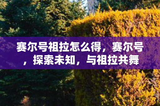 赛尔号祖拉怎么得，赛尔号，探索未知，与祖拉共舞