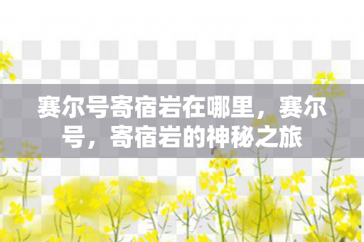 赛尔号寄宿岩在哪里，赛尔号，寄宿岩的神秘之旅