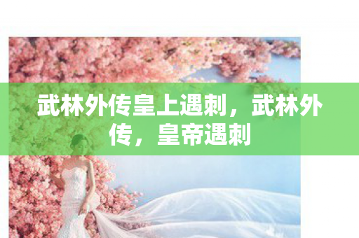 武林外传皇上遇刺，武林外传，皇帝遇刺