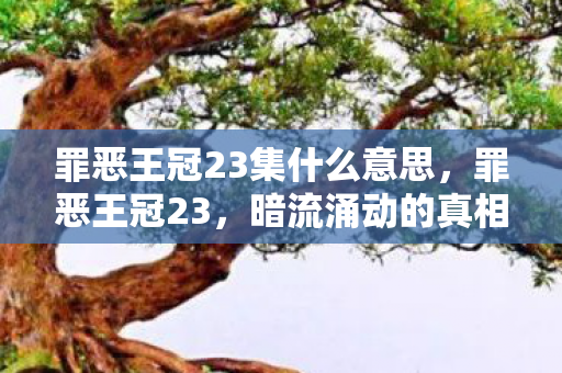 罪恶王冠23集什么意思，罪恶王冠23，暗流涌动的真相