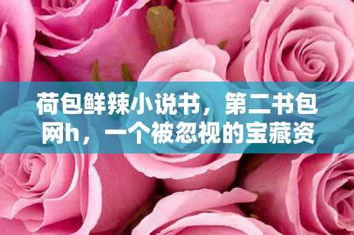 荷包鲜辣小说书，第二书包网h，一个被忽视的宝藏资源平台