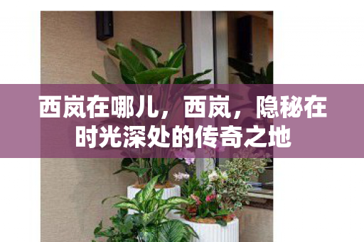 西岚在哪儿,西岚,隐秘在时光深处的传奇之地 西岚在哪儿,西岚,隐秘在时光深处的传奇之地