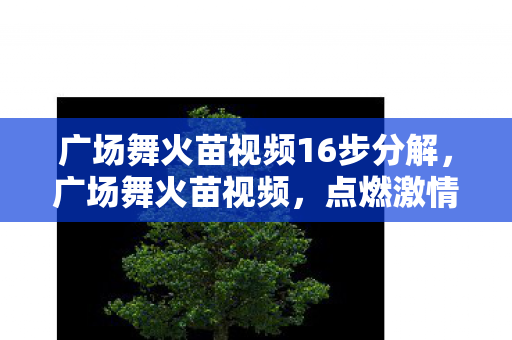 广场舞火苗视频16步分解，广场舞火苗视频，点燃激情，舞动生活