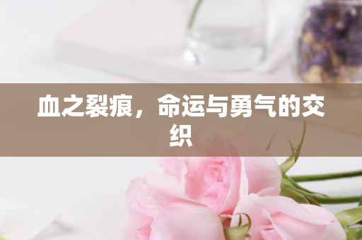 血之裂痕，命运与勇气的交织