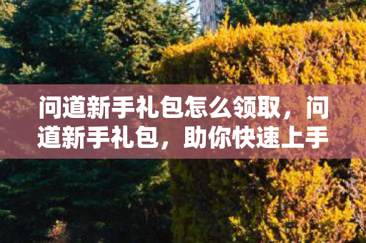 问道新手礼包怎么领取,问道新手礼包,助你快速上手的神秘宝箱 问道新手礼包怎么领取,问道新手礼包,助你快速上手的神秘宝箱